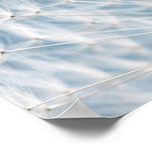 Dandelion Seeds Poster (Hoek)