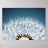 Dandelion Seeds Poster (Voorkant)