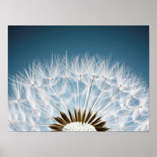 Dandelion Seeds Poster (Voorkant)