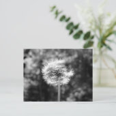 Dandelion sneeuw in zwart-wit briefkaart (Staand voorkant)