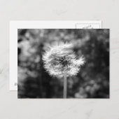 Dandelion sneeuw in zwart-wit briefkaart (Voorkant / Achterkant)