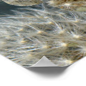 Dandelion Star nov 2012 Poster (Hoek)