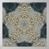 Dandelion Star nov 2012 Poster (Voorkant)