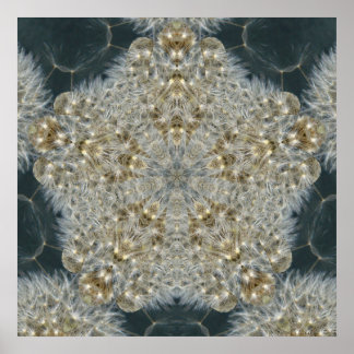 Dandelion Star nov 2012 Poster