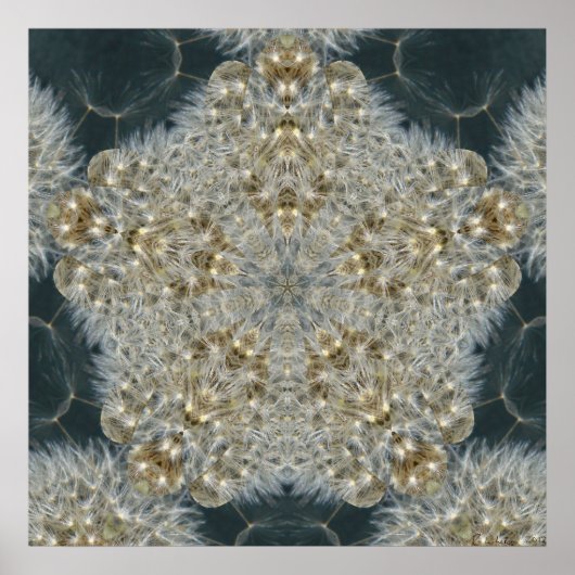 Dandelion Star nov 2012 Poster (Voorkant)