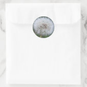 Dandelion Sticker (Tas)