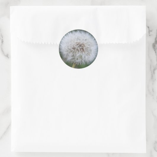 Dandelion Sticker (Tas)