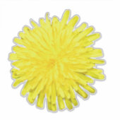 Dandelion Sticker (Voorkant)