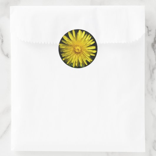 Dandelion Sticker (Tas)