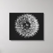 Dandelion Stretched Canvas afdrukken (Voorkant)