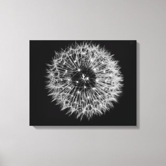 Dandelion Stretched Canvas afdrukken (Voorkant)