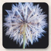 Dandelion (Taraxacum Officinale) zaadkop Bier Onderzetter (Voorkant)