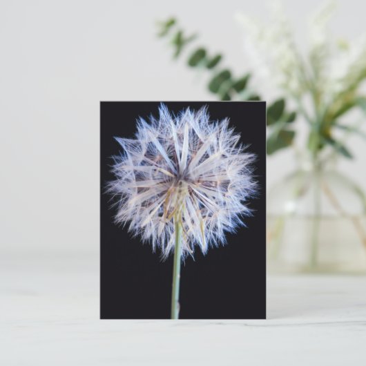 Dandelion (Taraxacum Officinale) zaadkop Briefkaart (Staand voorkant)