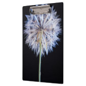 Dandelion (Taraxacum Officinale) zaadkop Klembord (Links)