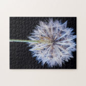 Dandelion (Taraxacum Officinale) zaadkop Legpuzzel (Horizontaal)