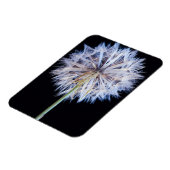 Dandelion (Taraxacum Officinale) zaadkop Magneet (Linkerzijde)