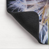 Dandelion (Taraxacum Officinale) zaadkop Muismat (Hoek)