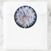 Dandelion (Taraxacum Officinale) zaadkop Ronde Sticker (Tas)