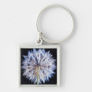 Dandelion (Taraxacum Officinale) zaadkop Sleutelhanger