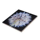 Dandelion (Taraxacum Officinale) zaadkop Tegeltje (Zijkant)