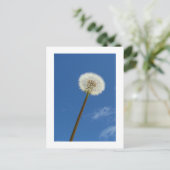 Dandelion tegen de blauwe hemel - Briefkaart (Staand voorkant)
