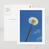 Dandelion tegen de blauwe hemel - Briefkaart (Voorkant / Achterkant)