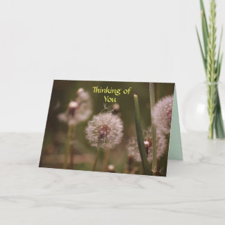 Dandelion Thinking of You Card Kaart