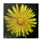 Dandelion Tile Tegeltje (Voorkant)