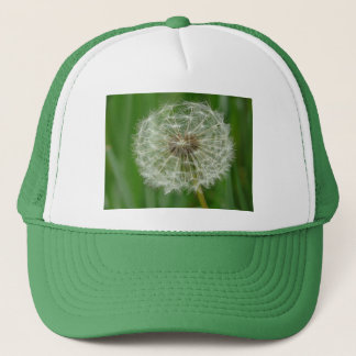dandelion trucker pet