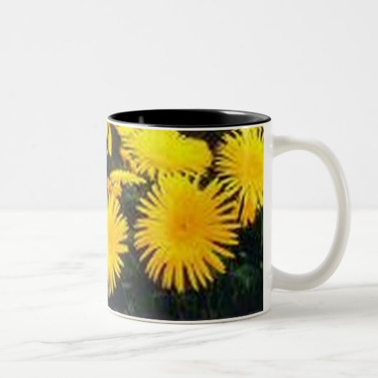 Dandelion Tweekleurige Koffiemok (Rechts)