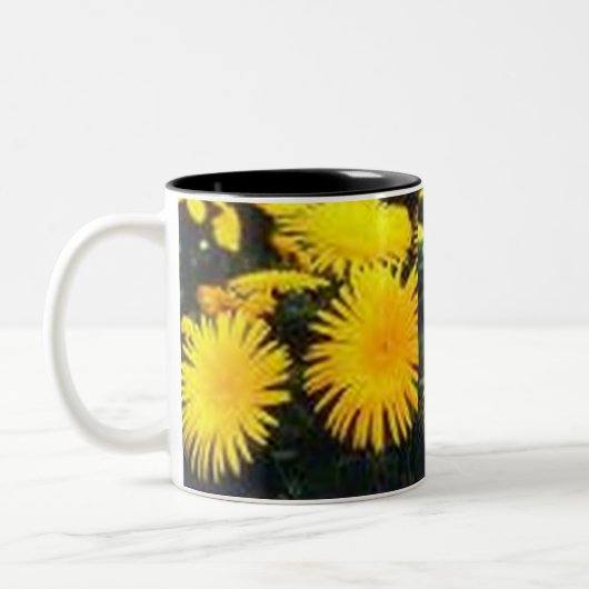 Dandelion Tweekleurige Koffiemok (Links)