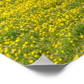 Dandelion-velden Poster (Hoek)