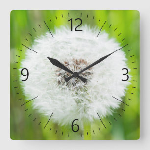 Dandelion Vierkante Klok