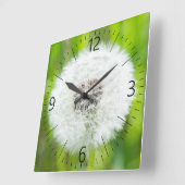Dandelion Vierkante Klok (Hoek)