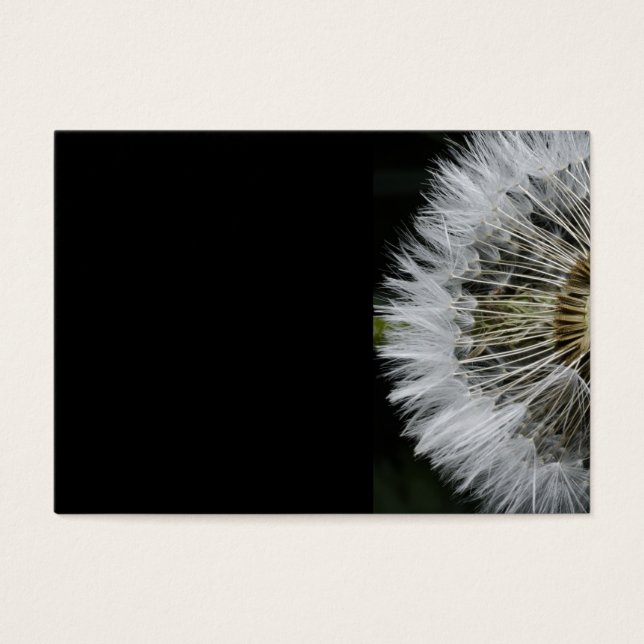 Dandelion Visitekaartje (Voorkant)
