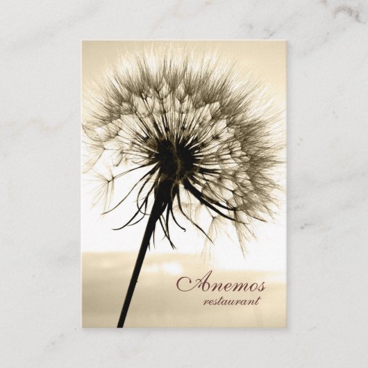 dandelion visitekaartje (Voorkant)