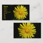 Dandelion  Visitekaartje (Voorkant / Achterkant)