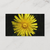 Dandelion  Visitekaartje (Achterkant)