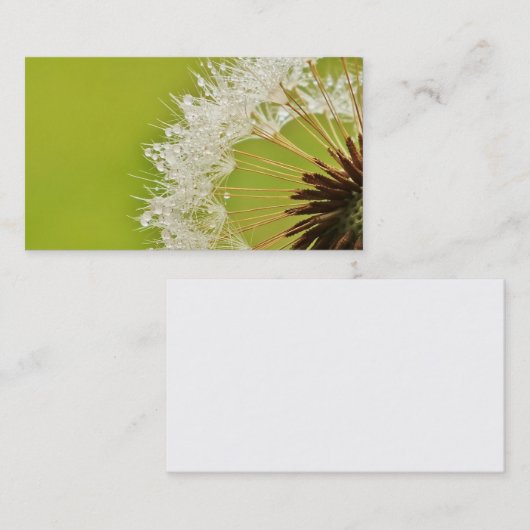 Dandelion visitekaartjes (Voorkant / Achterkant)