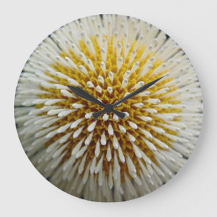 Dandelion Wall klok