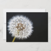 Dandelion Wedding Invitation Kaart (Achterkant)