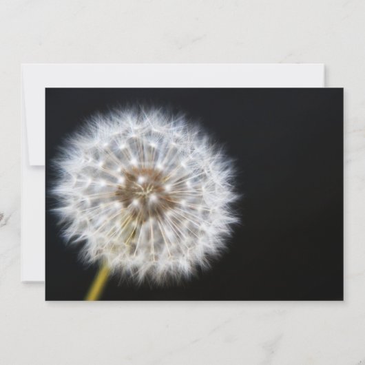 Dandelion Wedding Invitation Kaart (Achterkant)