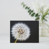 Dandelion Wedding RSVP-kaart RSVP Kaartje (Staand voorkant)