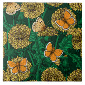 Dandelion-weide op donkergroen tegeltje (Voorkant)