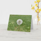 Dandelion Wenskaart Kaart (Gele Bloem)