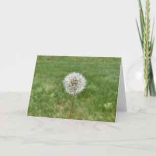 Dandelion Wenskaart Kaart