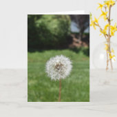 Dandelion Wenskaart Kaart (Gele Bloem)