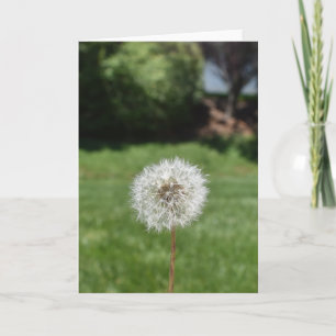 Dandelion Wenskaart Kaart