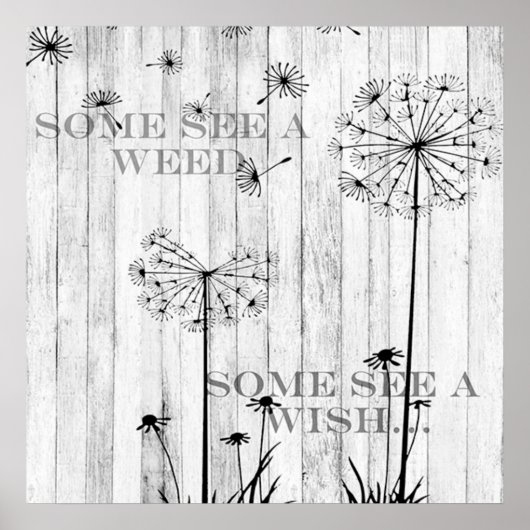 Dandelion wenst Poster van 24 x 24 inch (Voorkant)
