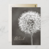 Dandelion Wish Briefkaart (Voorkant / Achterkant)